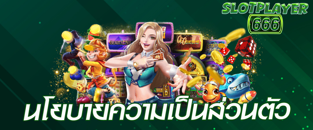 นโยบายความเป็นส่วนตัว