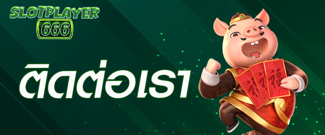 ติดต่อเรา